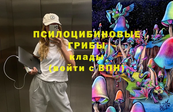 mdma Богородск